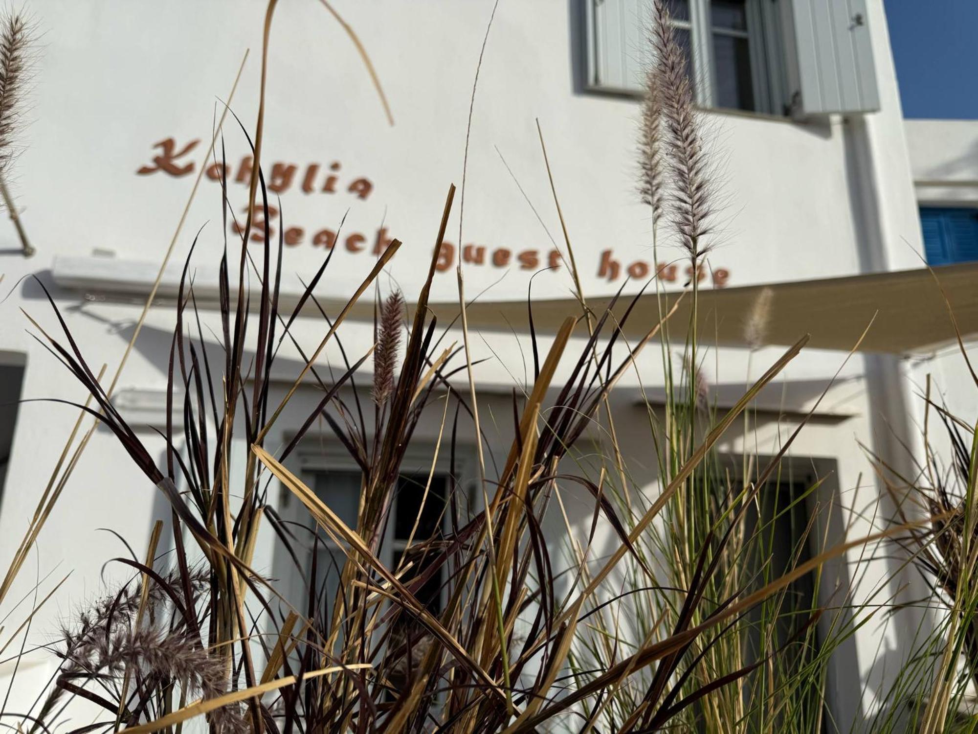 Platis Gialos  Kohylia Beach Guest House מראה חיצוני תמונה